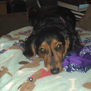 Meet your Posher, Kayla